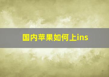 国内苹果如何上ins