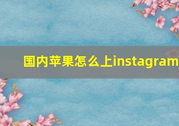 国内苹果怎么上instagram