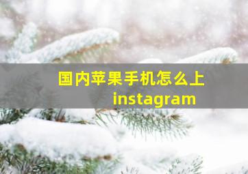 国内苹果手机怎么上instagram