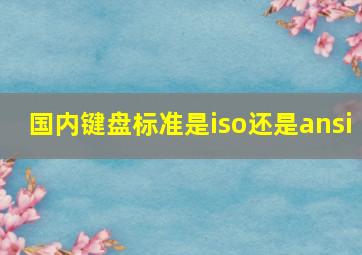 国内键盘标准是iso还是ansi