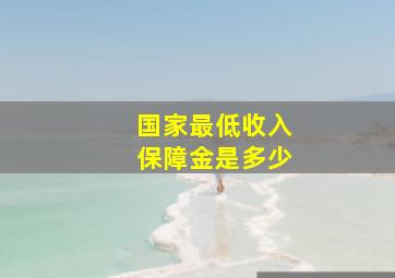 国家最低收入保障金是多少