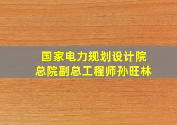 国家电力规划设计院总院副总工程师孙旺林