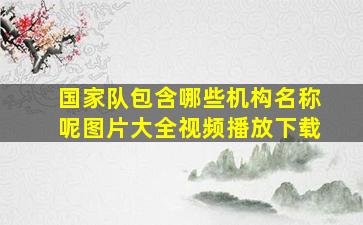 国家队包含哪些机构名称呢图片大全视频播放下载