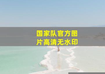 国家队官方图片高清无水印