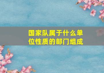 国家队属于什么单位性质的部门组成