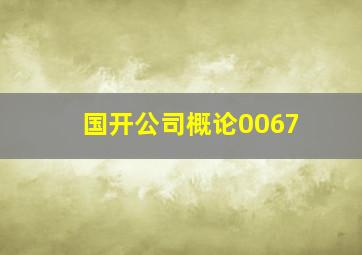 国开公司概论0067