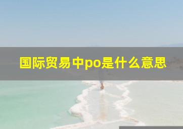 国际贸易中po是什么意思