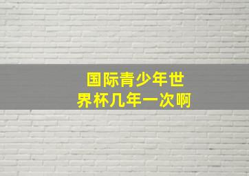 国际青少年世界杯几年一次啊