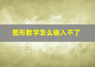 图形数字怎么输入不了