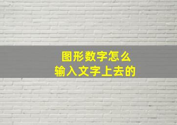 图形数字怎么输入文字上去的