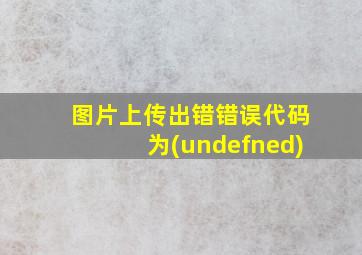 图片上传出错错误代码为(undefned)