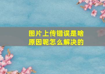 图片上传错误是啥原因呢怎么解决的