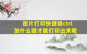 图片打印快捷键ctrl加什么键才能打印出来呢