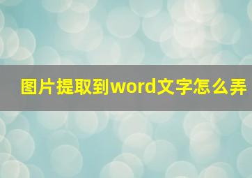 图片提取到word文字怎么弄