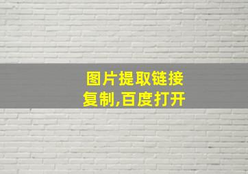 图片提取链接复制,百度打开