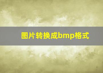 图片转换成bmp格式