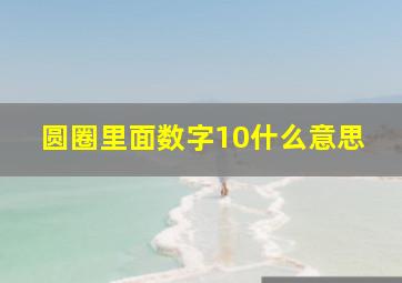 圆圈里面数字10什么意思