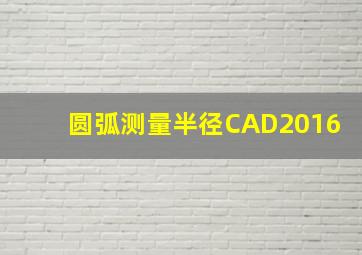 圆弧测量半径CAD2016