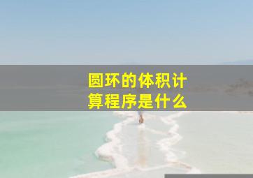 圆环的体积计算程序是什么