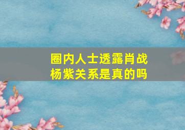 圈内人士透露肖战杨紫关系是真的吗