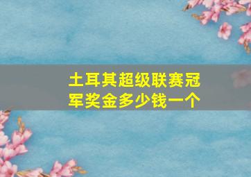 土耳其超级联赛冠军奖金多少钱一个