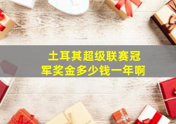 土耳其超级联赛冠军奖金多少钱一年啊