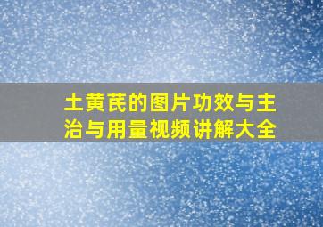 土黄芪的图片功效与主治与用量视频讲解大全