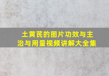 土黄芪的图片功效与主治与用量视频讲解大全集