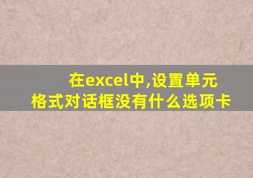 在excel中,设置单元格式对话框没有什么选项卡