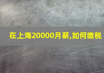 在上海20000月薪,如何缴税