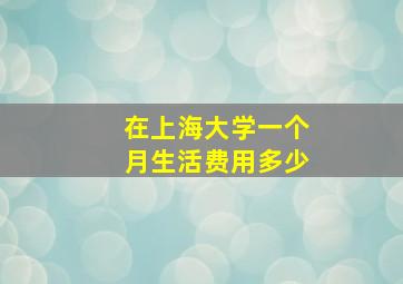 在上海大学一个月生活费用多少