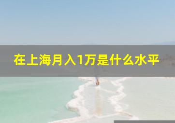 在上海月入1万是什么水平