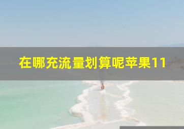 在哪充流量划算呢苹果11