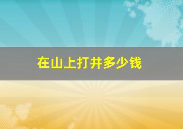 在山上打井多少钱