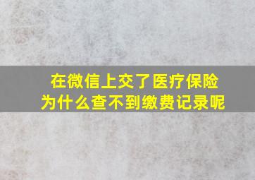 在微信上交了医疗保险为什么查不到缴费记录呢