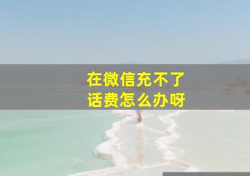 在微信充不了话费怎么办呀