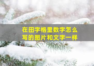 在田字格里数字怎么写的图片和文字一样