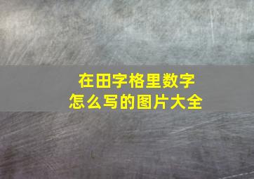 在田字格里数字怎么写的图片大全