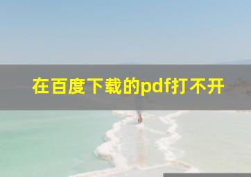 在百度下载的pdf打不开