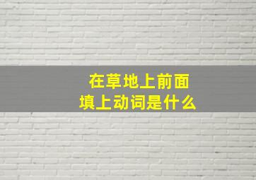 在草地上前面填上动词是什么