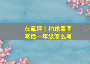 在草坪上拍球看图写话一年级怎么写