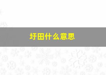 圩田什么意思