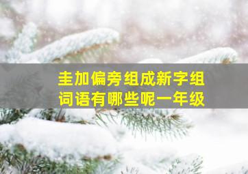 圭加偏旁组成新字组词语有哪些呢一年级