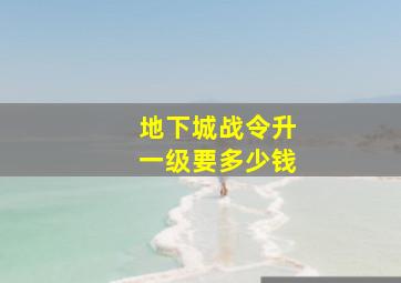 地下城战令升一级要多少钱