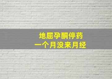 地屈孕酮停药一个月没来月经