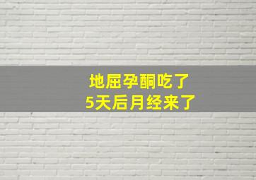 地屈孕酮吃了5天后月经来了