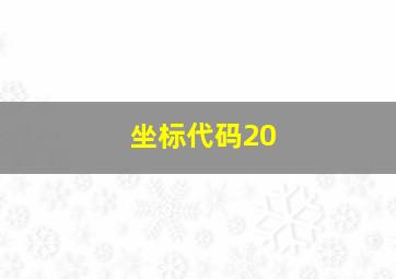 坐标代码20