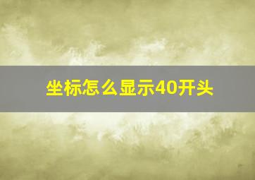 坐标怎么显示40开头