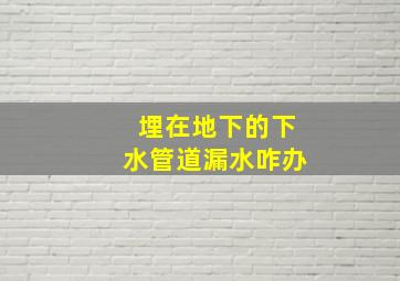 埋在地下的下水管道漏水咋办