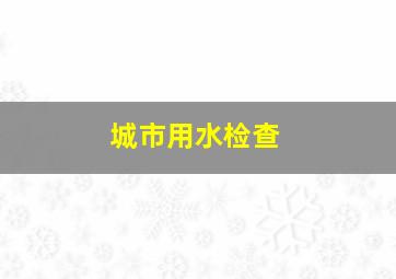 城市用水检查